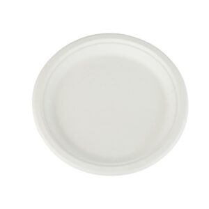 Talerz z trzciny cukrowej